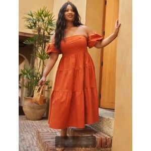 Plus Size Rust colored dress that wows!